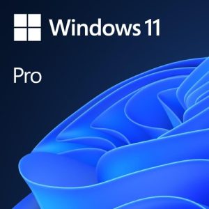 Windows 11 Professional Licence